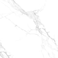 Royal Statuario 24 x 48 Polished